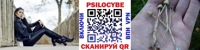 Галлюциногенные грибы мухоморы  MEGA ссылка  Медынь 